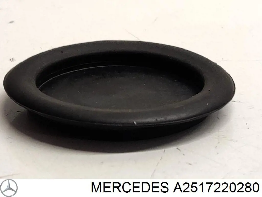 Купить A2517220280 Mercedes 