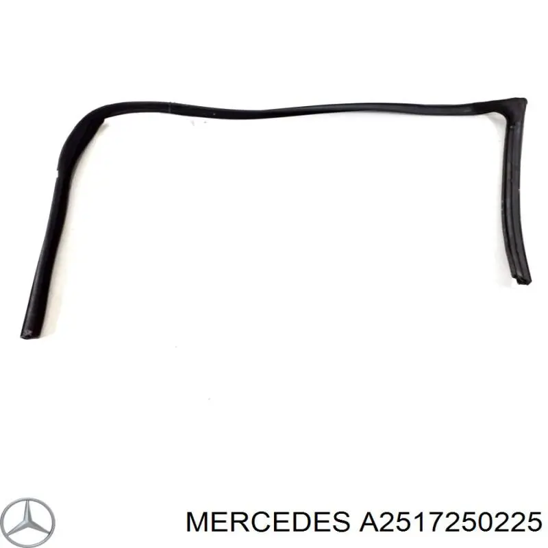  A2517250225 Mercedes