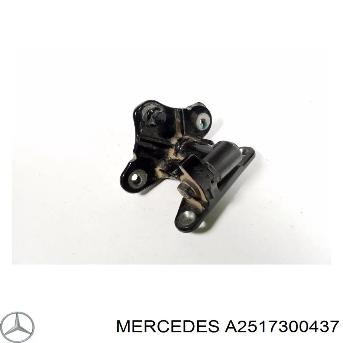  A2517300437 Mercedes