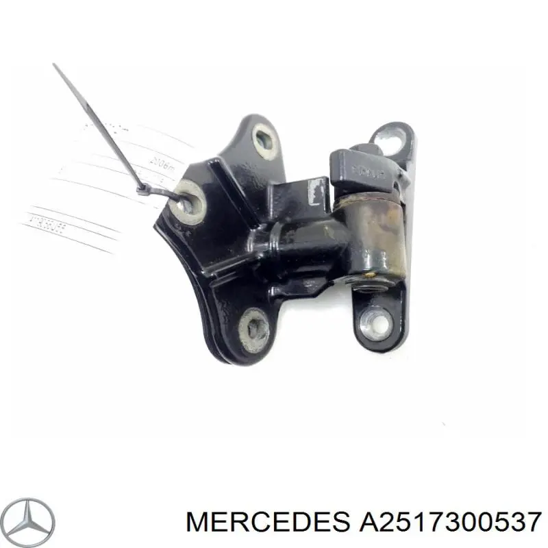 Gozno da porta traseira esquerda para Mercedes ML/GLE (W164)
