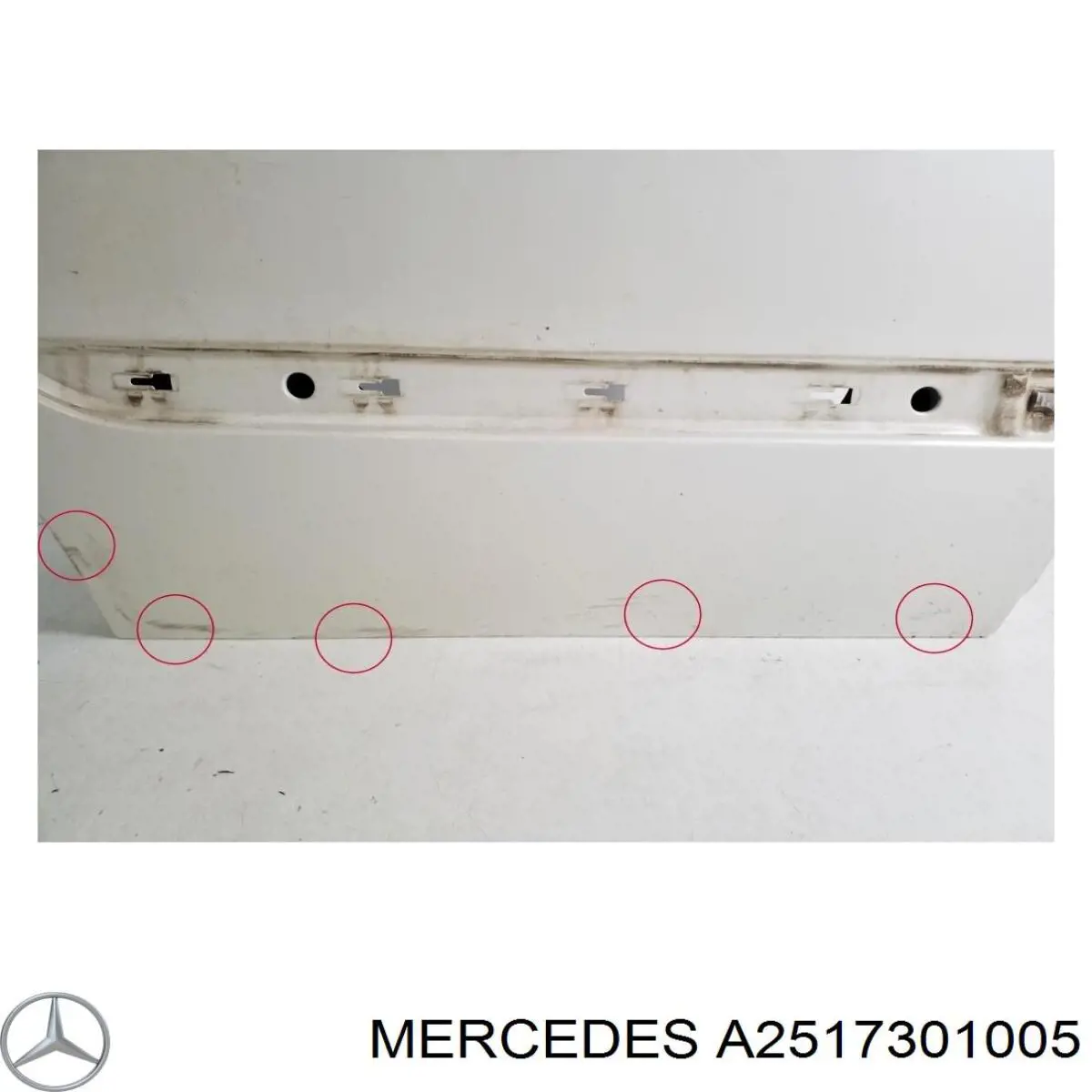 A2517301005 Mercedes Дверь задняя, правая