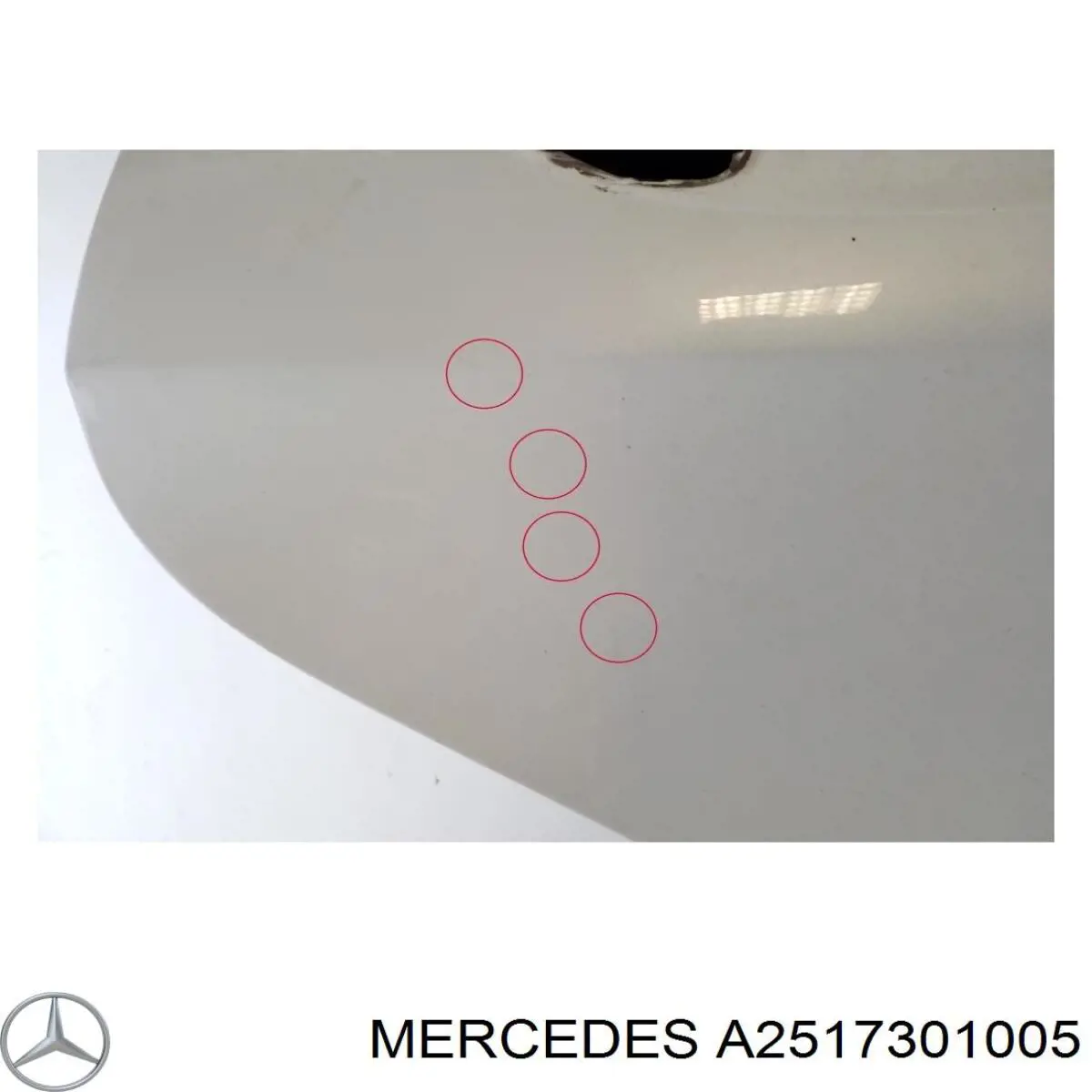 Дверь пассажирская задняя правая Mercedes A2517301005 цена, от 177.37 USD