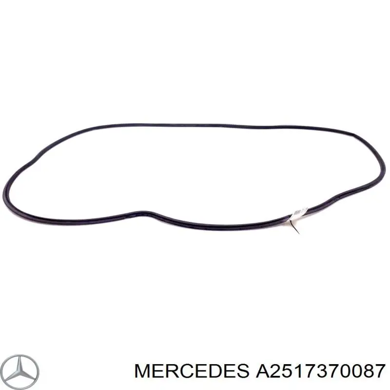  A2517370087 Mercedes