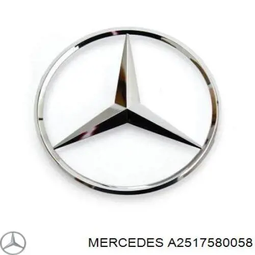 A2517580058 Mercedes