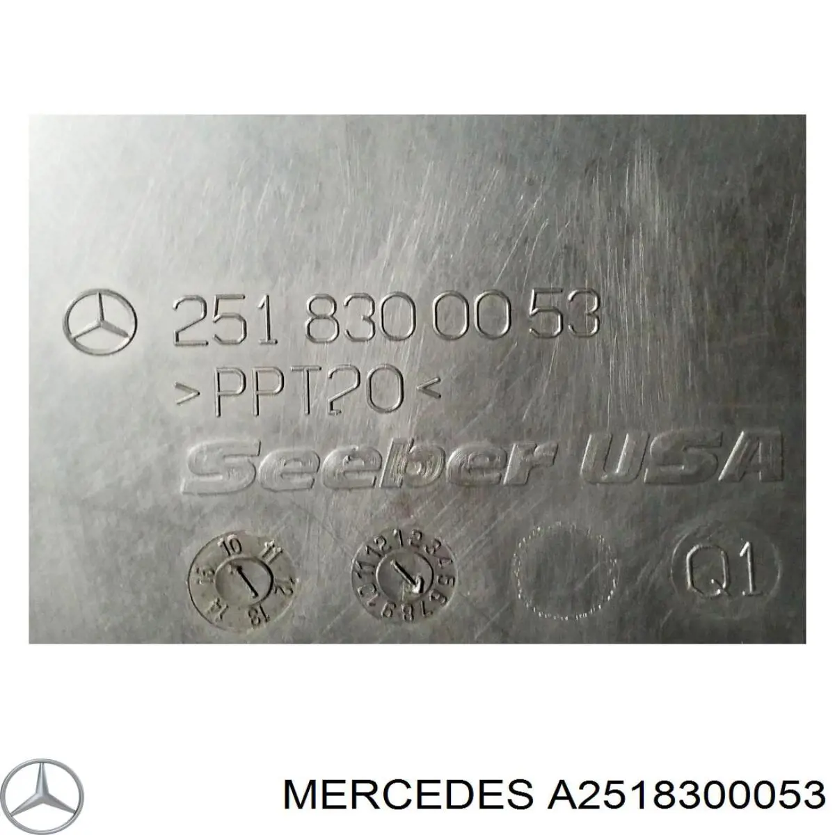  2518300053 Mercedes