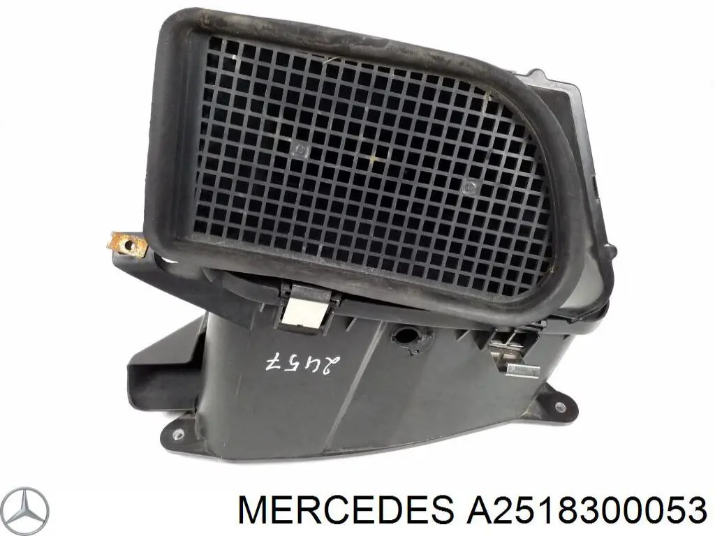 2518300053 Mercedes 