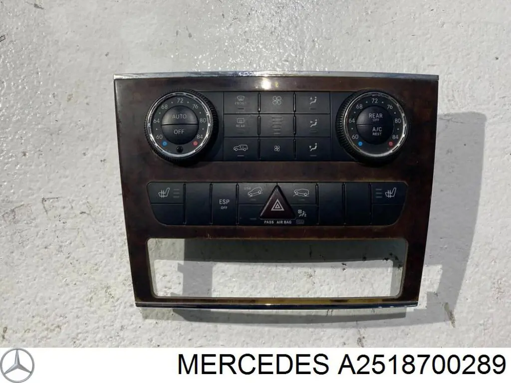  A2518700289 Mercedes