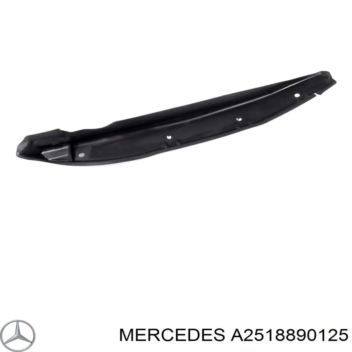 2518890125 Mercedes 