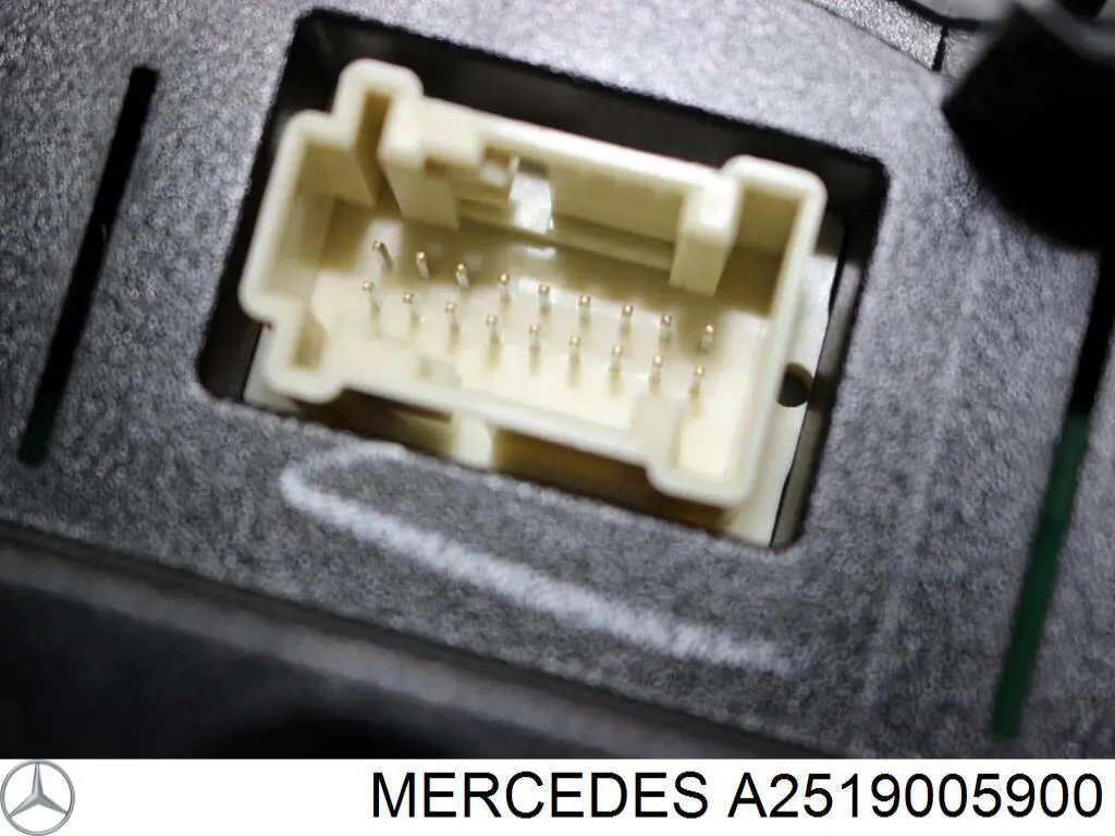 Купить A2519005900 Mercedes 