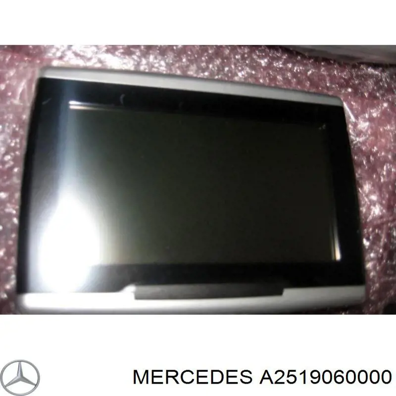  A2519060000 Mercedes