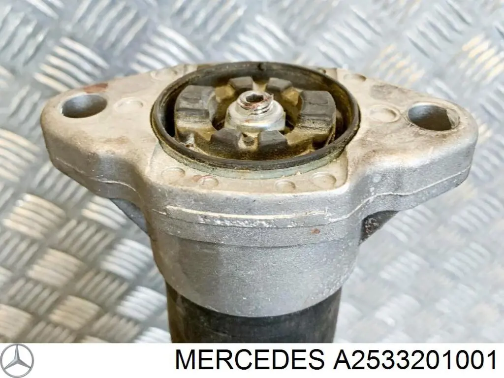 Стойка амортизатора задняя Mercedes 2533201001 цена, от 149.45 USD