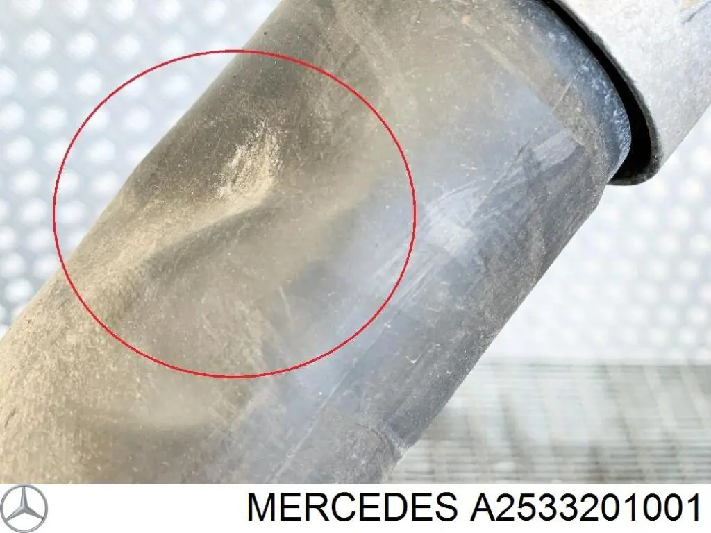 Амортизатор задний A2533201001 Mercedes