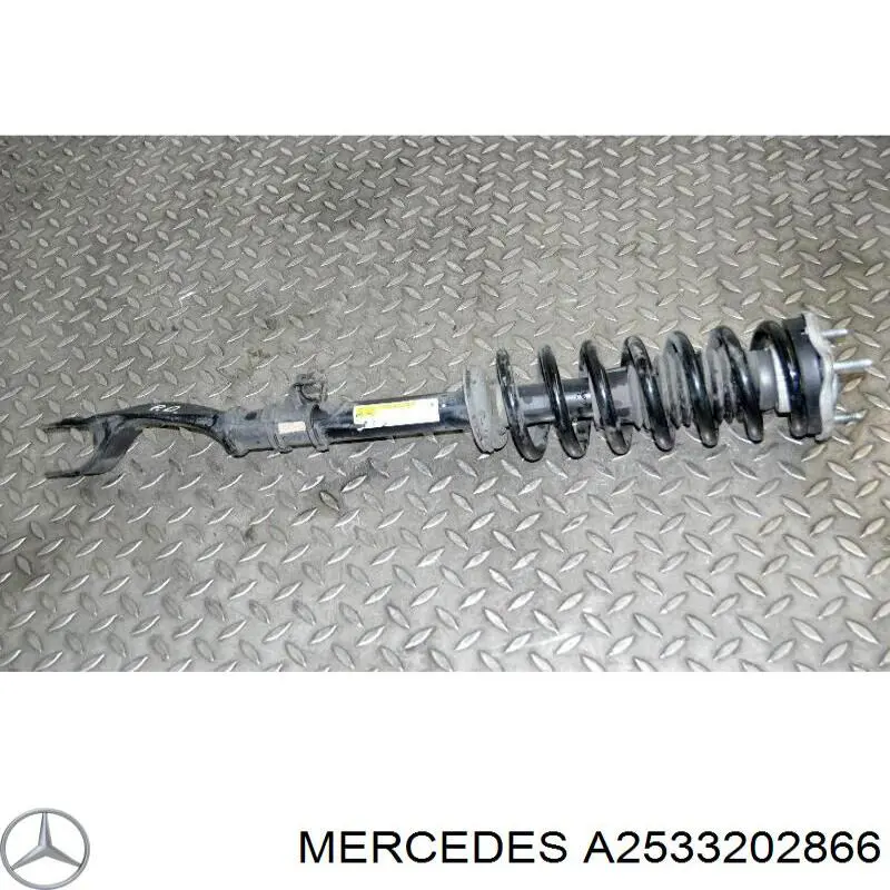  A2533202866 Mercedes