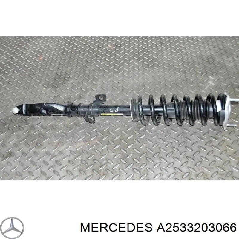 A2533203066 Mercedes 