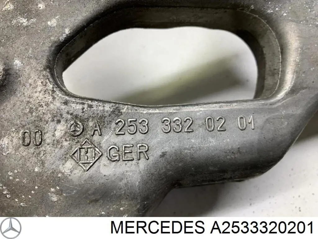 Цапфа (поворотный кулак) передний правый Mercedes 2533320201 цена, от 445.66 USD