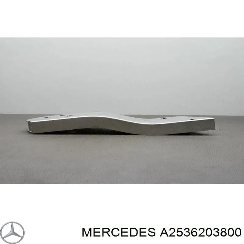 253620380069 Mercedes 