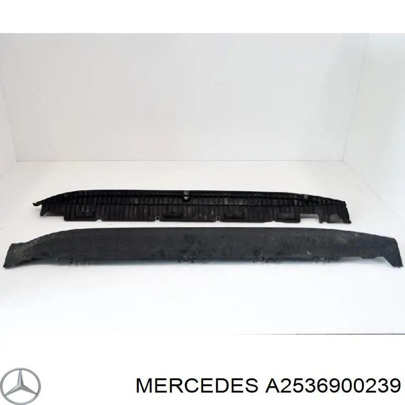  A2536900239 Mercedes