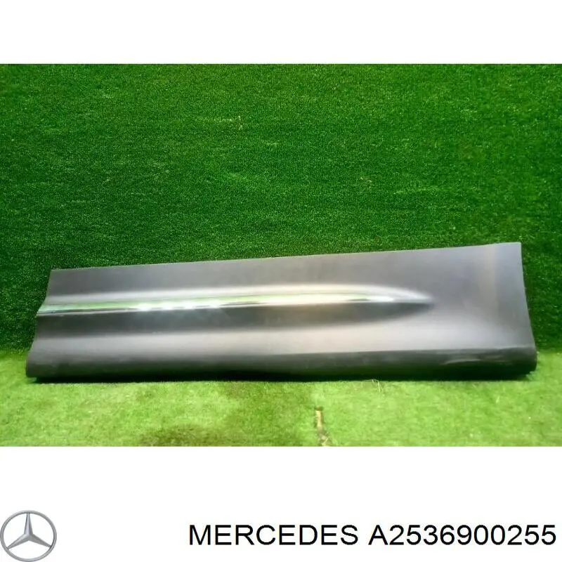 A2536900255 Mercedes 