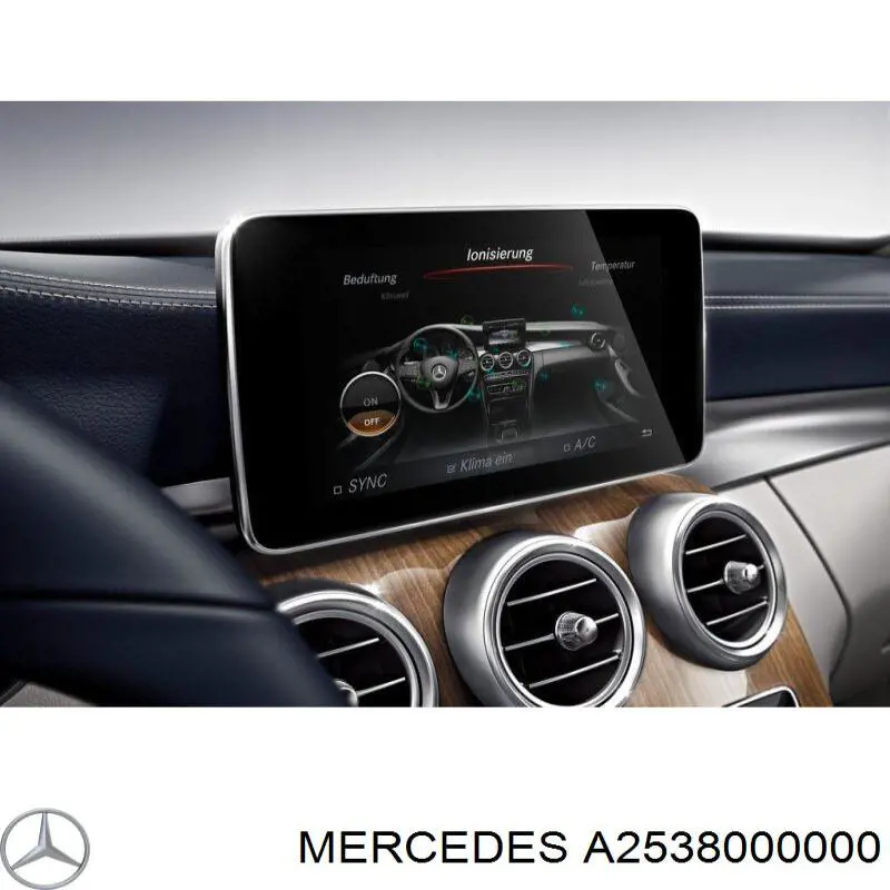 A2538000000 Mercedes 