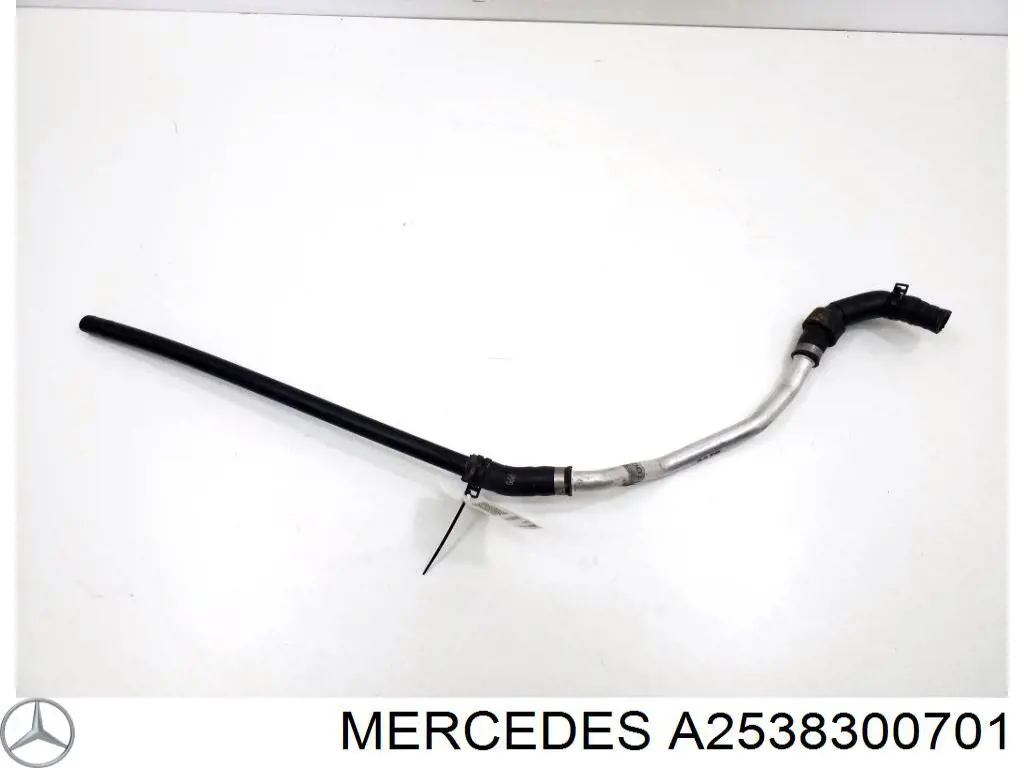  A2538300701 Mercedes