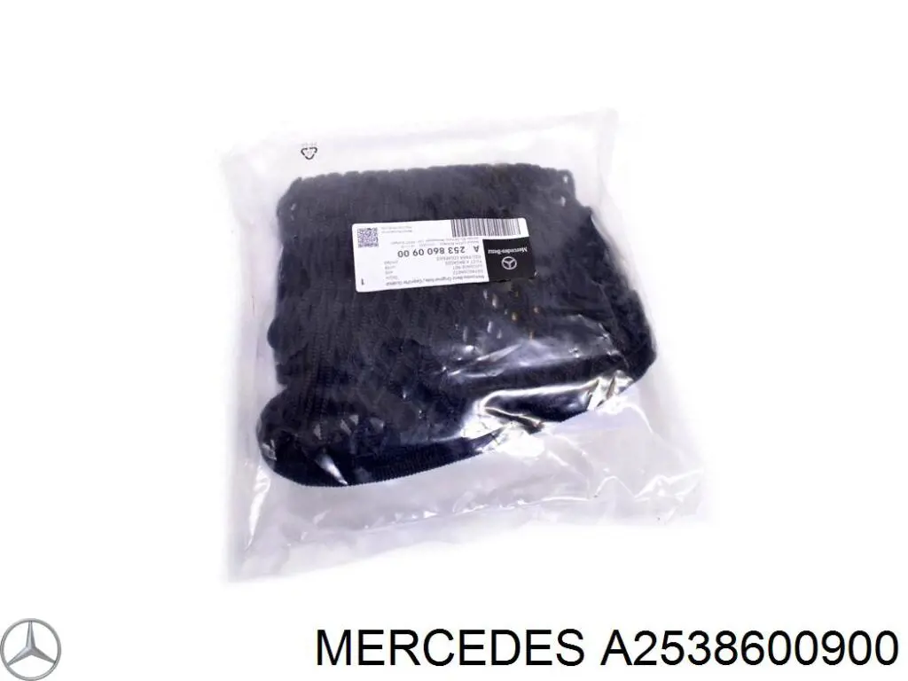 A2538600900 Mercedes 