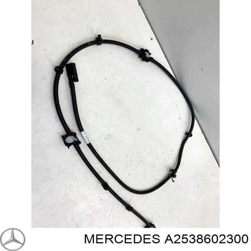 A2538602300 Mercedes Веерная форсунка омывателя
