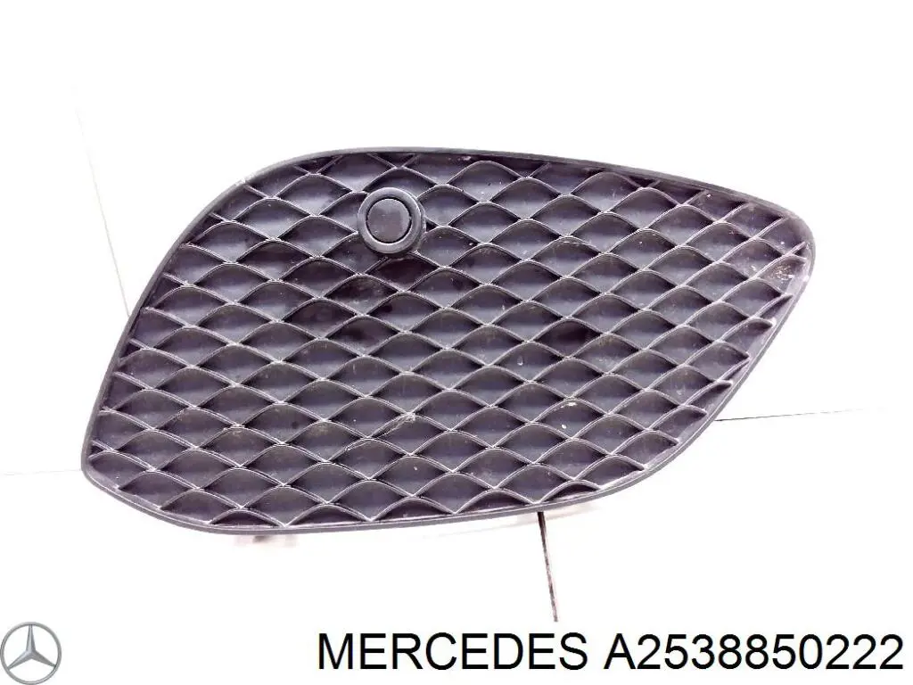 2538850222 Mercedes 