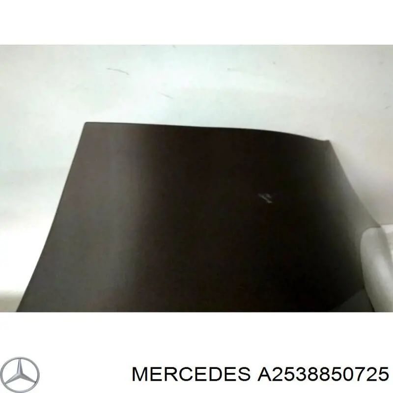  A2538850725 Mercedes