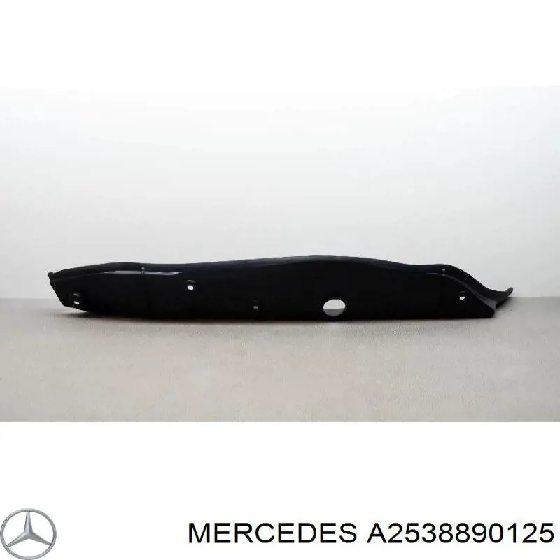  A2538890125 Mercedes