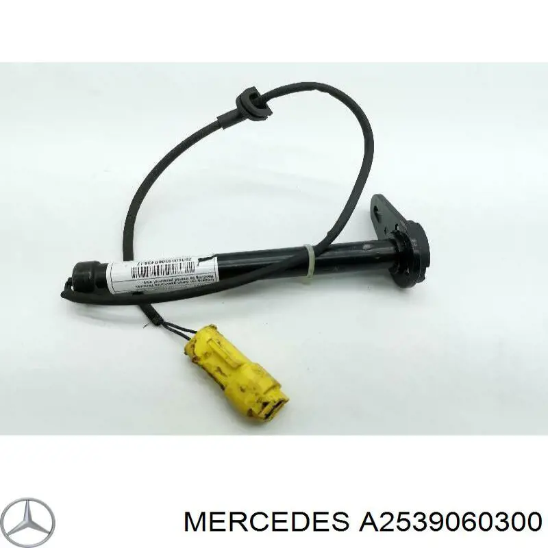 A2539060300 Mercedes 