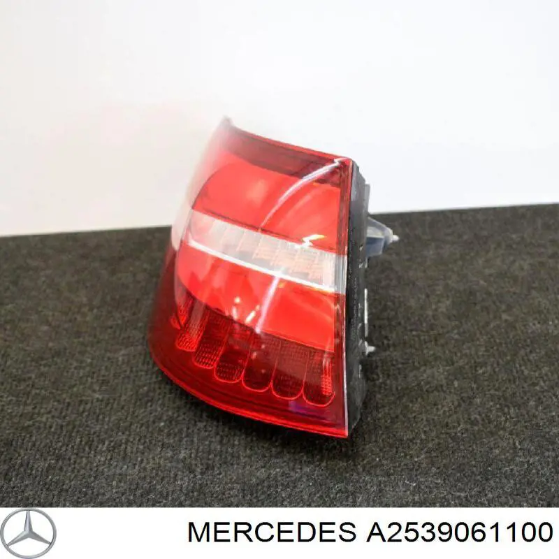 2539061100 Mercedes 