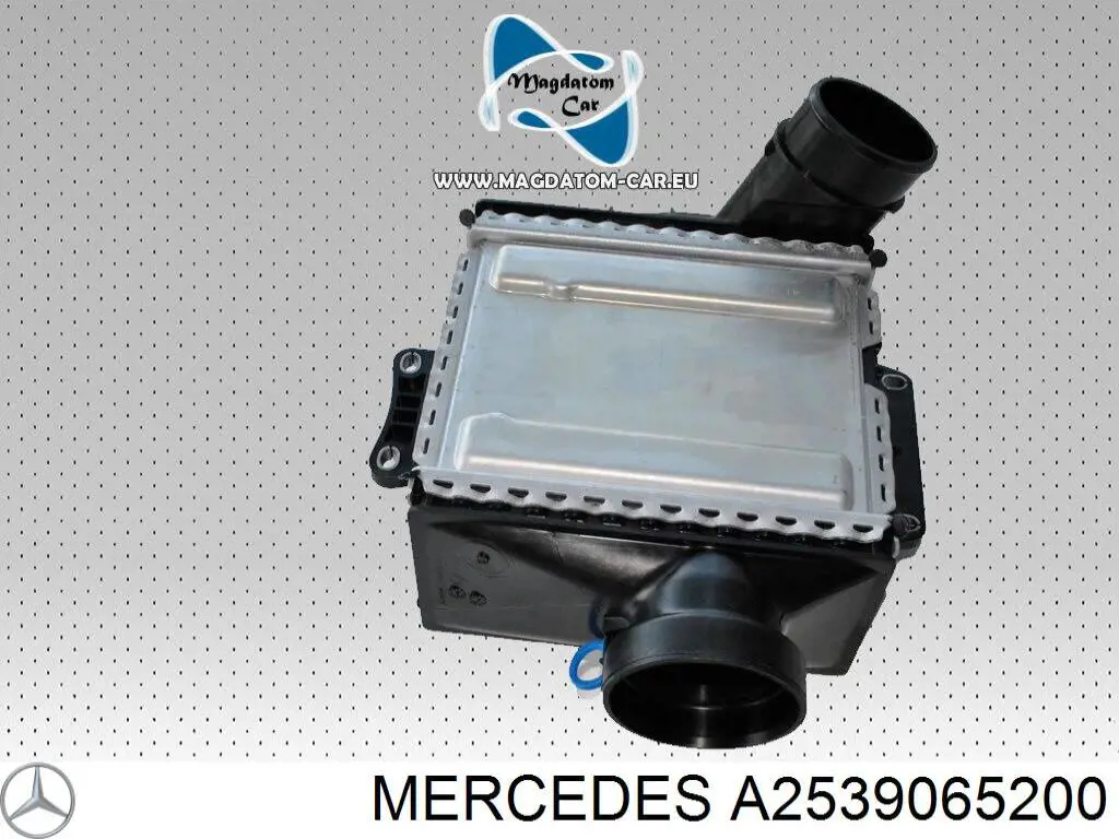 Купить A2539065200 Mercedes 