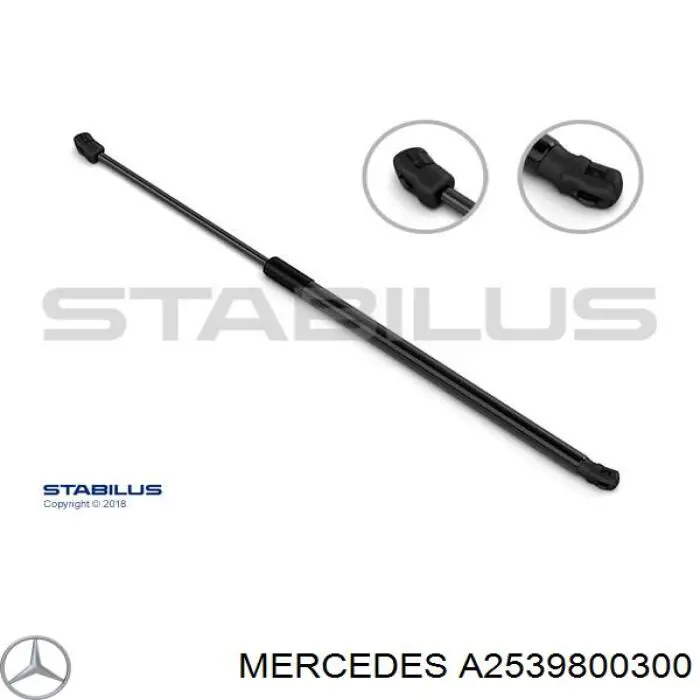 A2539800300 Mercedes 