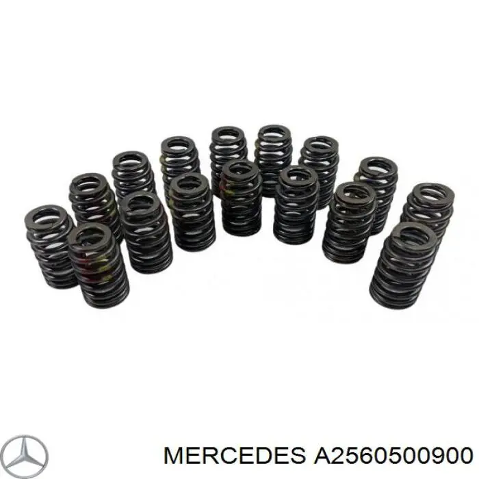  A2560500900 Mercedes
