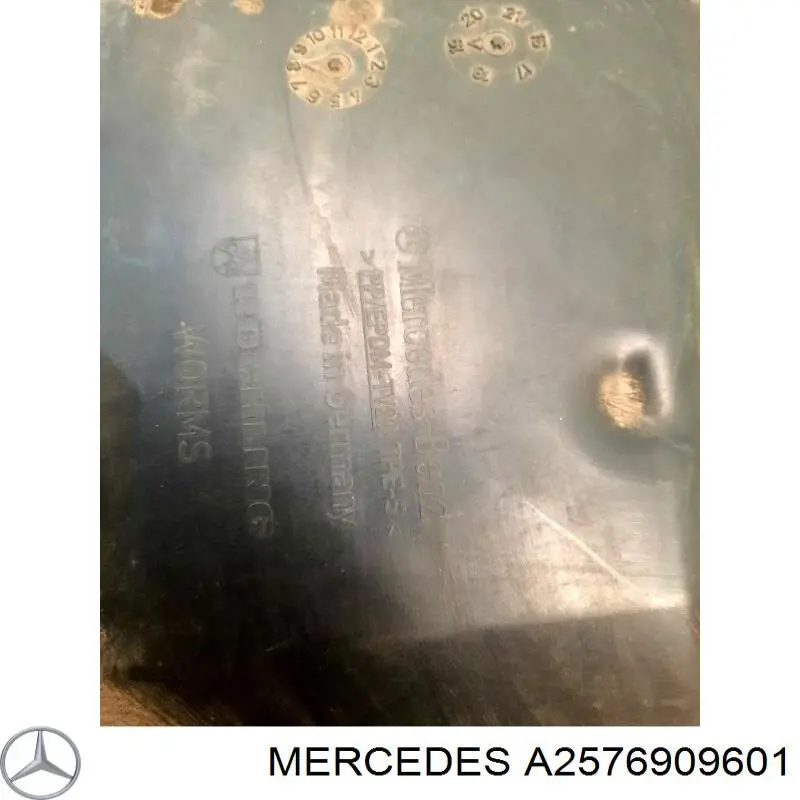  30821627 AND