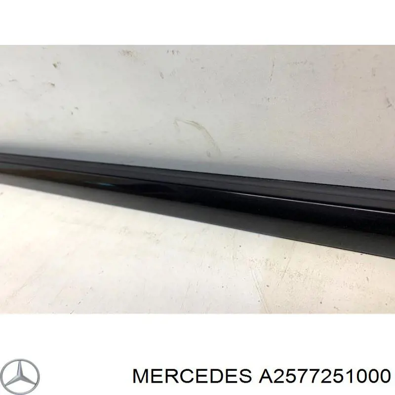 A2577251000 Mercedes 