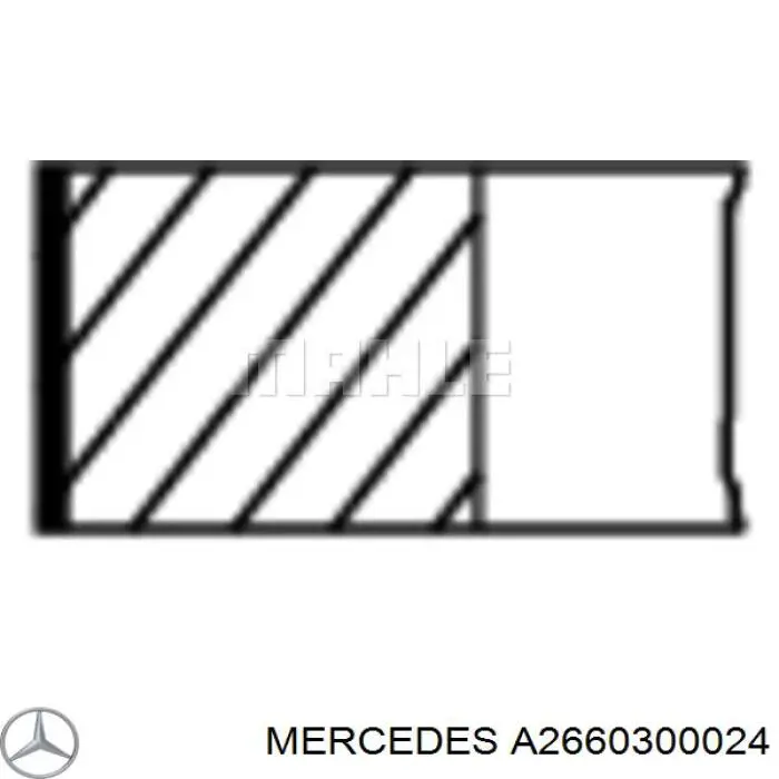 A266030002464 Mercedes 