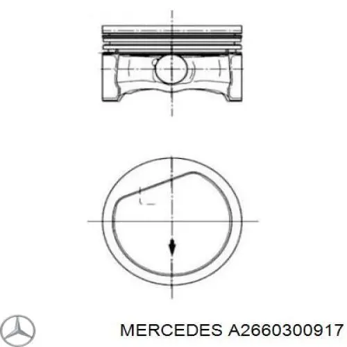 A2660300917 Mercedes 