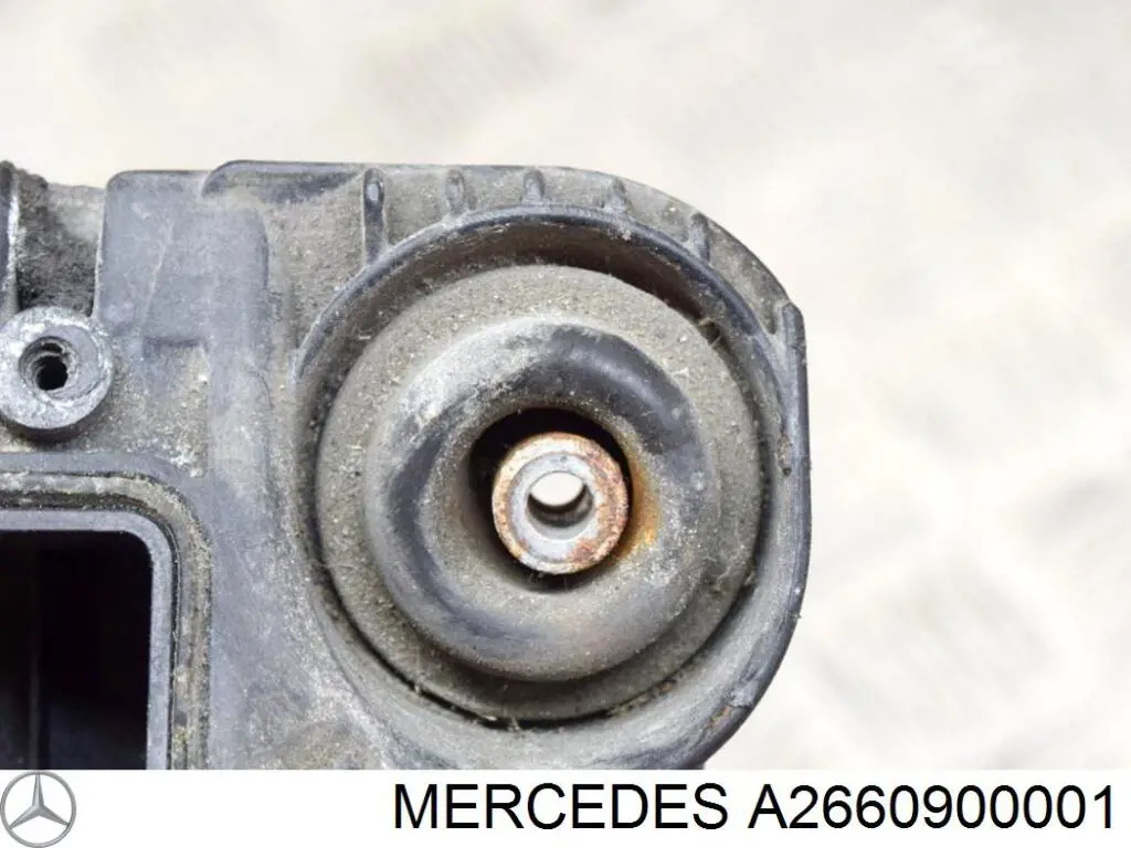 A2660900001 Mercedes 
