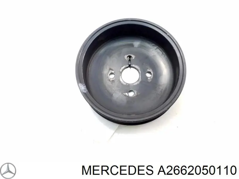 A2662050110 Mercedes 