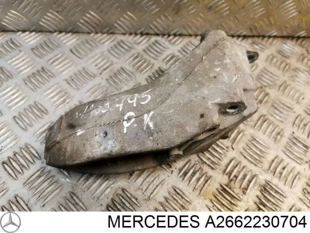 A2662230704 Mercedes 