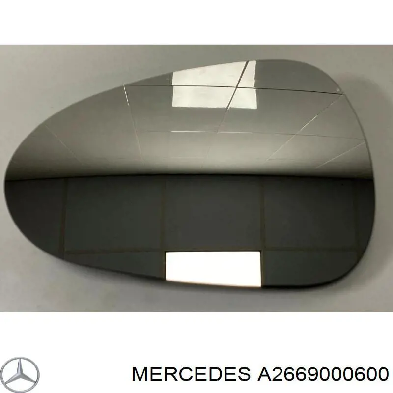  A2661531691 Mercedes