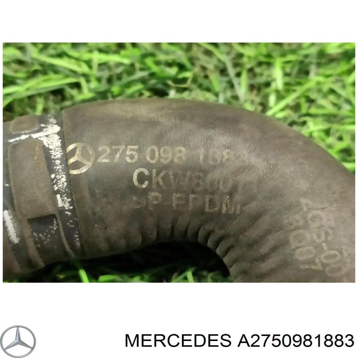 Купить 2750981883 Mercedes Трубка картера воздушная