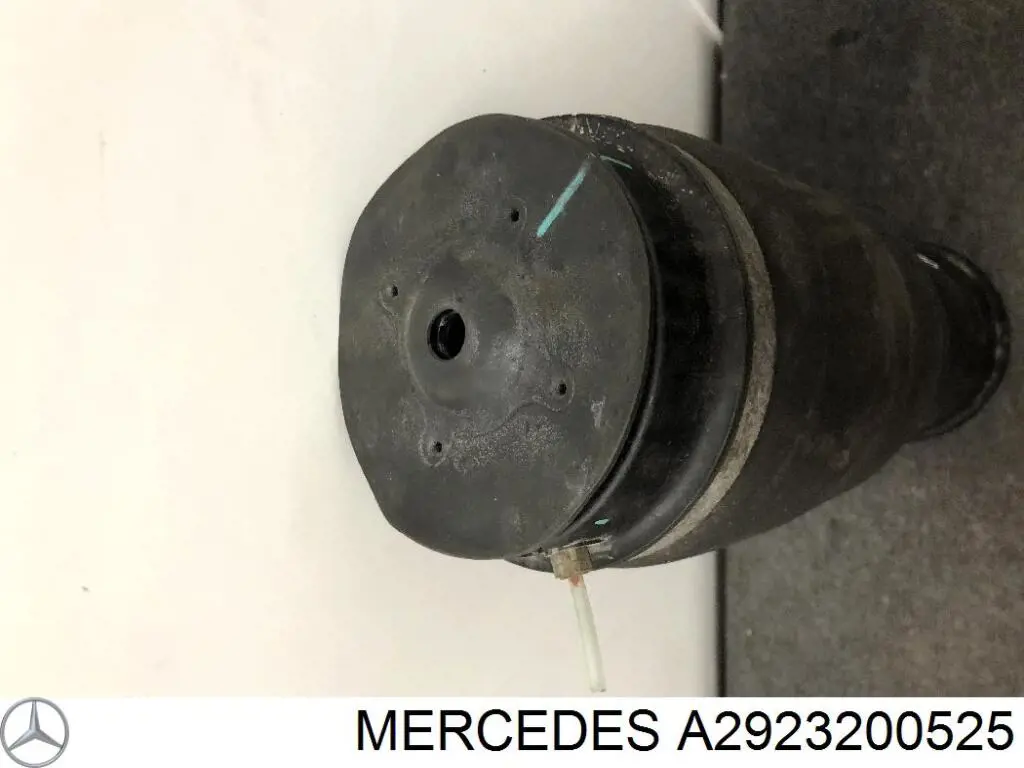 Купить A2923200525 Mercedes Пневмоподушка (пневморессора) моста заднего