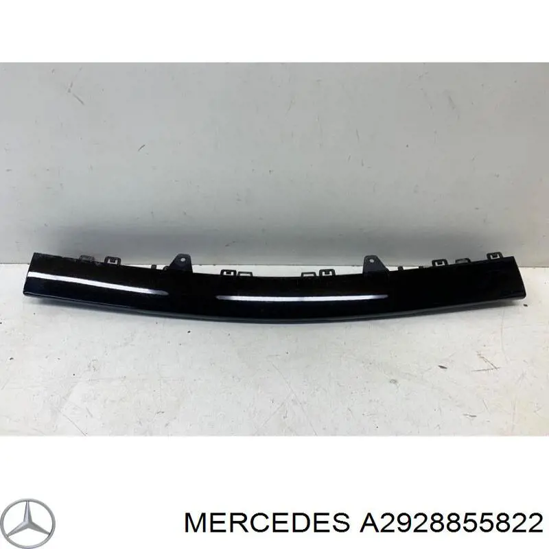  2928855822 Mercedes