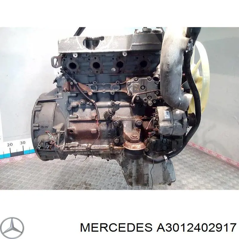  3012402917 Mercedes