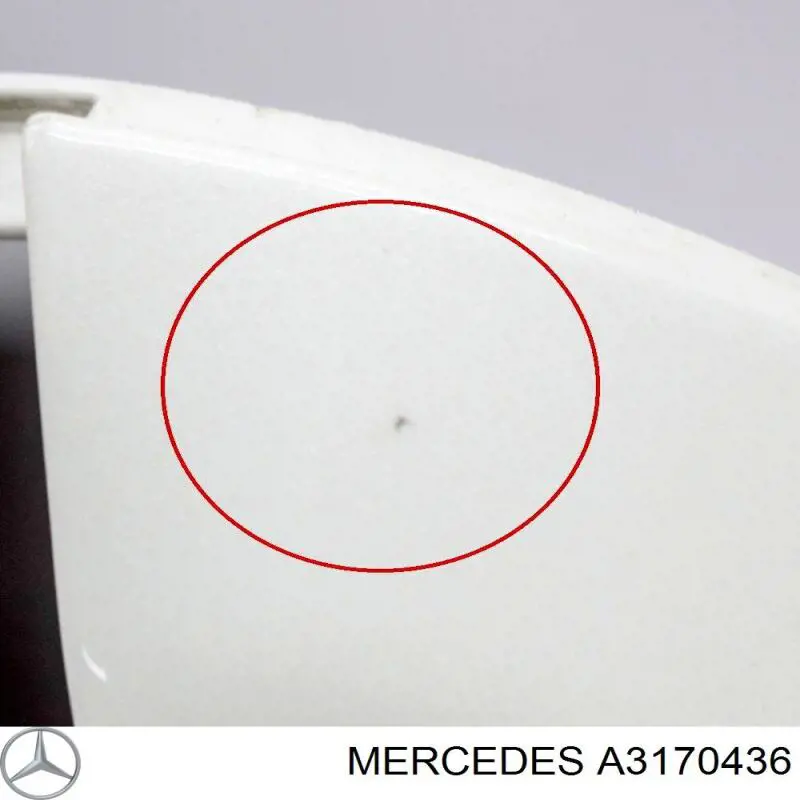  Mercedes A3170436 цена, от 14.11 USD