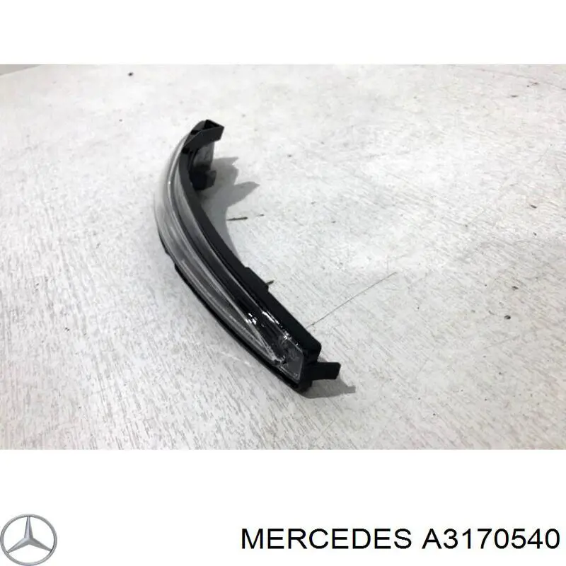 A3170540 Mercedes 