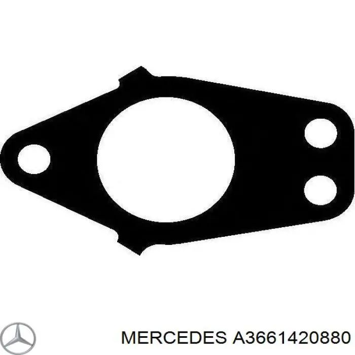 A3661420880 Mercedes прокладка коллектора