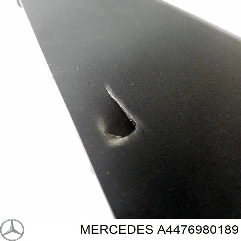 A4476980189 Mercedes 